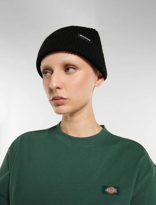 DICKIES "WOODWORTH" BEANIE BLACK